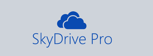 SkyDrive Pro